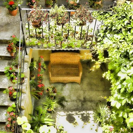 Apartment With Terrace Erice